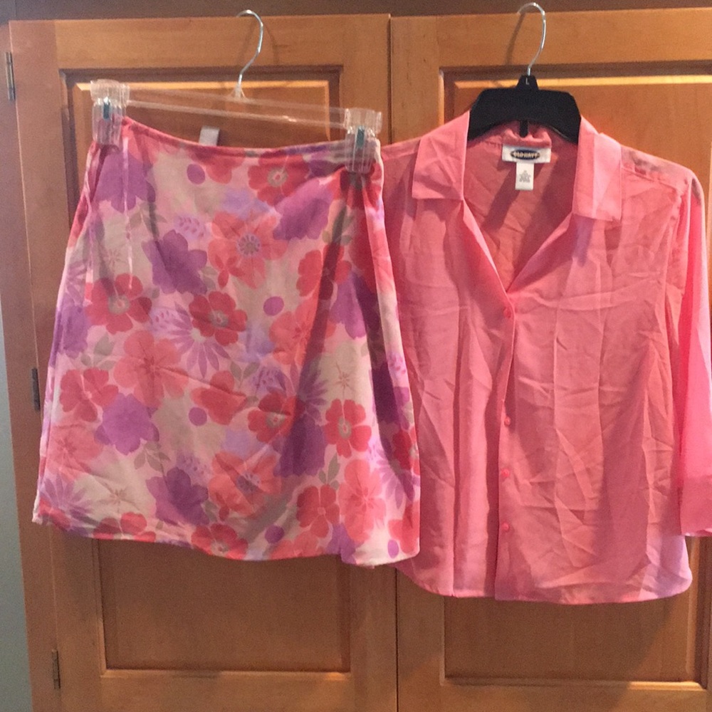 Skirt and Sheer Blouse